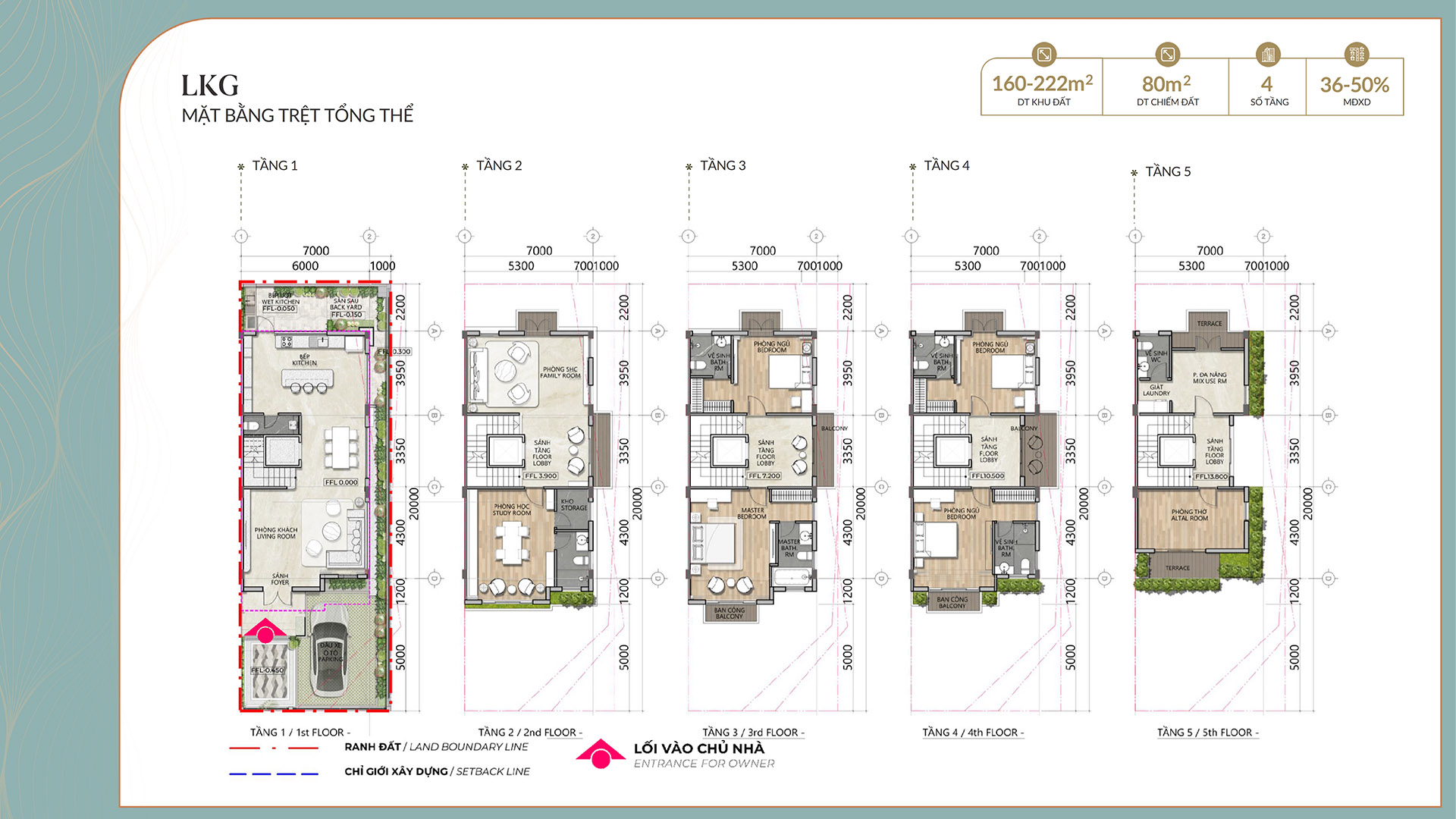 mat-bang-thiet-ke-lien-ke-tieu-chuan-alluvia-city